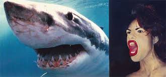 Image result for bull shark mouth