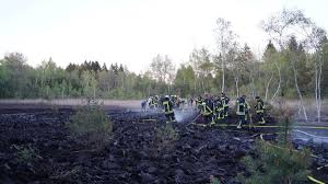 Flä­chen­brand : ce qu'il faut savoir — image 4