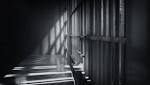 Jailed South African freed South