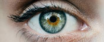 The Secret to Unveiling Disease Risks: How Old Are Your Eyes?