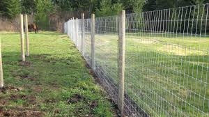 Image result for non climb fence