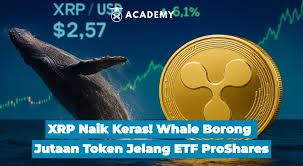 INDODAX - News update