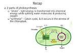 the 2 parts of photosynthesis