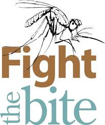 Image result for dengue mosquito campaign