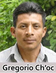 Maya want 20-year forestry concession for Conejo and Santa Teresa: Greg Ch&#39; - 1264522608
