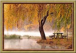 Résultat de recherche d'images pour "bon dimanche fleurs"