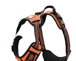 Chai's Choice Reflective Dog Harnessの画像