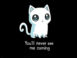 Hasil gambar untuk ninja