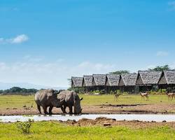 Image of Private conservancy safari Kenya