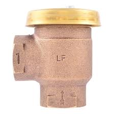 Cash Acme 1-in Brass FNPT Anti-siphon vacuum breaker in the ...