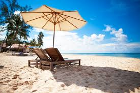 Kết quả h&igrave;nh ảnh cho m&ugrave;a h&egrave;