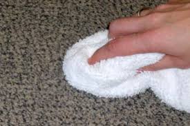 Image result for spot cleaning carpet carpet