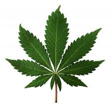 Resultado de imagen de Legalization