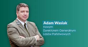 Lasy Państwowe - News update