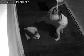 GCN: Mulher é flagrada agredindo cachorro a pauladas em Franca