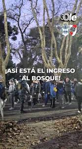 ¡Así está El Bosque!
