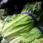  Romaine lettuce E. coli outbreak worsens: 98 people now sick