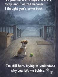 Watching a loyal companion wait for someone who isn't coming ...