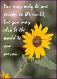 Quotes About Yellow Flowers. QuotesGram via Relatably.com