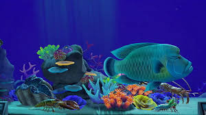 News source: Yahoo!ニュース