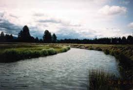 Image result for williamson river