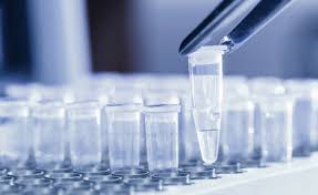 Image result for pcr