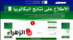 بوابة الزهراء - News update