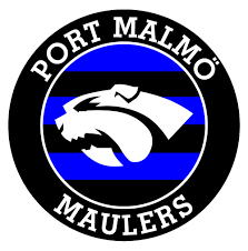 Résultat de recherche d'images pour "port de malmo photo"