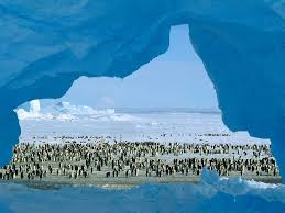 Результат пошуку зображень за запитом "антарктида фото"