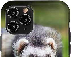 フェレットのスマホケースの画像