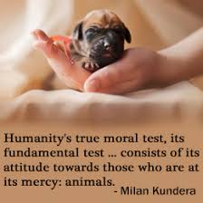 Animal Abuse Quotes via Relatably.com