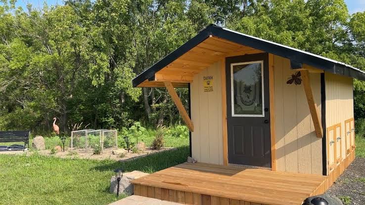 Ontario farm offers bee bed therapy for relaxation, with visitors reporting 'amazing' results; scientific evidence remains scarce