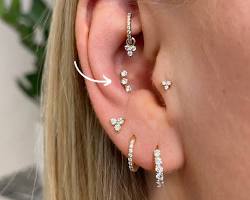 Imagem de Piercing Conch