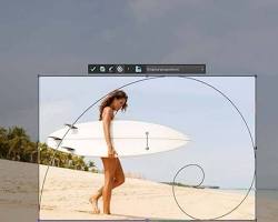 Image of photo cropped using the Golden Ratio