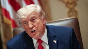 Juez Federal De Los Estados Unidos
