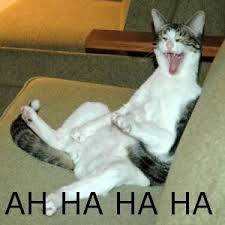 images?q=tbn:ANd9GcSUimiBZ3WOUKNDlQlgx6ktgXbnjpocXMbQCLK2mENr6ejFowHhCw