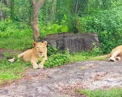 Image of Neyyar Dam and Wildlife Sanctuary, Trivandrum