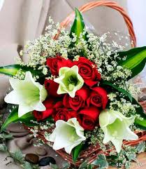 images