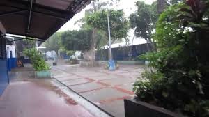 Image result for larde