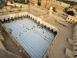 صدى البلد - News update