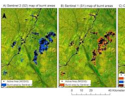 صورة satellite image showing a forest fire