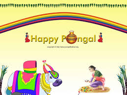 Image result for pongal festival images