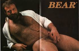 Image result for bear porn