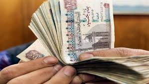 صدى البلد - News update