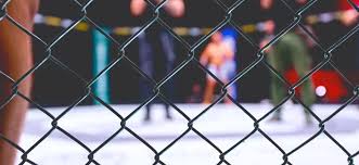 UFC Picks: Robertson-Dern Title Fight Offers Intriguing Betting Value in Philadelphia