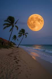 Le Soleil de la Floride - News update