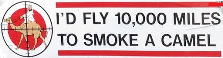 Image result for SMOKE CAMELS