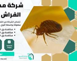 شركة مكافحة بق بالكويت