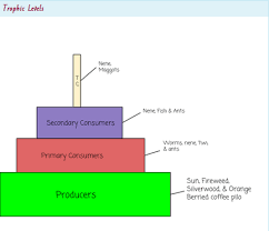 Image result for organisms and their environment