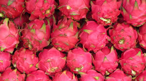 Image result for dragon fruit